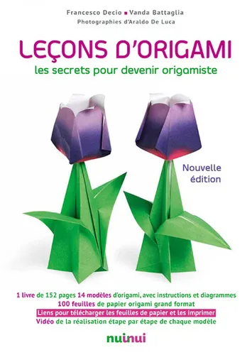 Lecons D'origami Ned