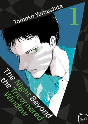 The Night Beyond The Tricornered Window T01 The Night Beyond The Tricornered Window T01