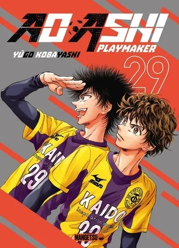 Ao Ashi T29