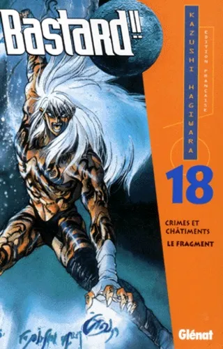Bastard !! T18
