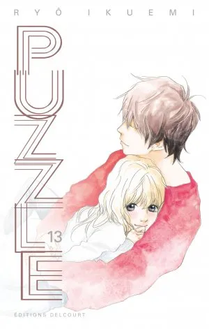 Puzzle T13
