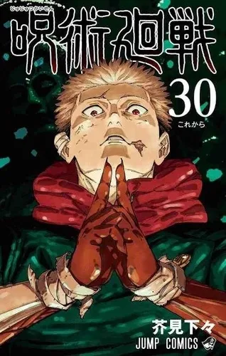 Jujutsu Kaisen T30 VO (Import) Jujutsu Kaisen T30 VO (Import)