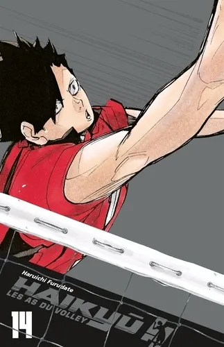 Haikyu!! T14 - Smash Edition