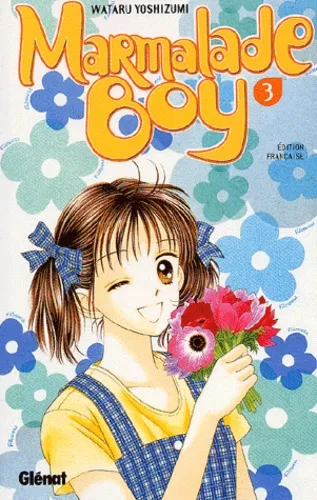 Marmalade Boy T03