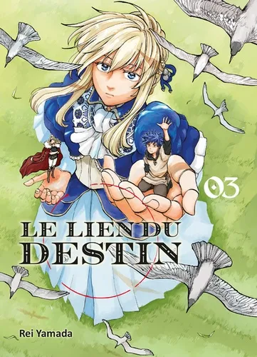 Le Lien Du Destin T03