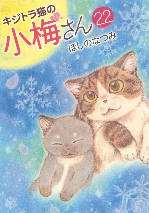 Plum, Un Amour De Chat T22