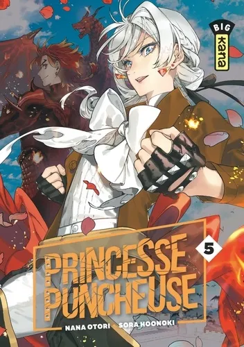 Princesse Puncheuse T05