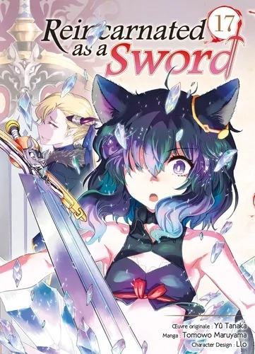 Reincarnated As A Sword T17