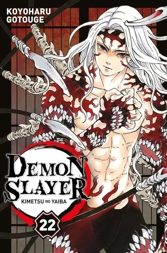 Demon Slayer T22 Demon Slayer T22