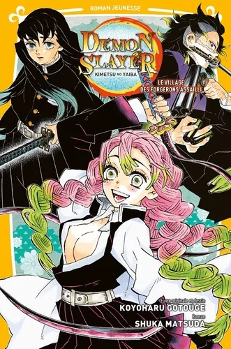 Demon Slayer - Roman Jeunesse T05 Demon Slayer - Roman Jeunesse T05