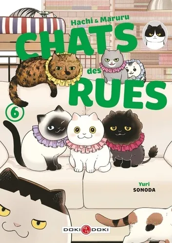 Chats Des Rues T06