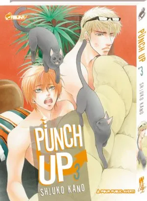 Punch Up T3