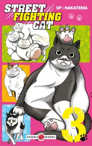 Street Fighting Cat T03