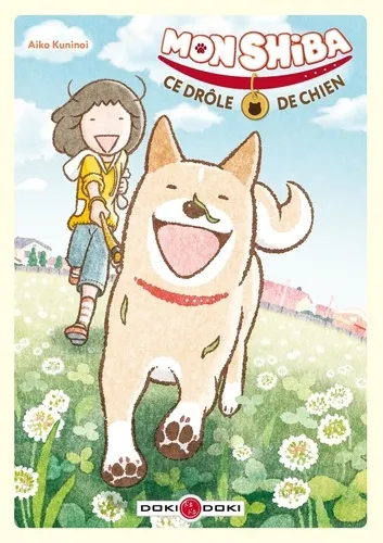 Mon Shiba, Ce Drole De Chien