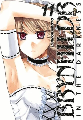 Brynhildr In The Darkness T11