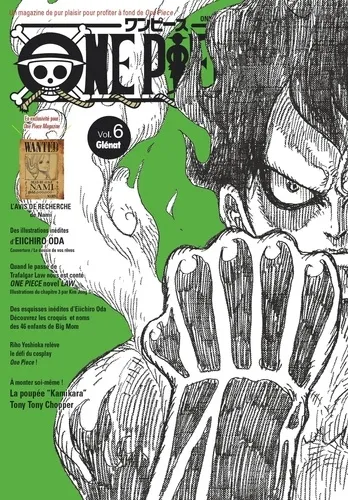 One Piece Magazine T06