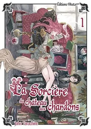 La Sorciere Du Chateau Aux Chardons T01 La Sorciere Du Chateau Aux Chardons T01