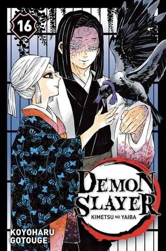 Demon Slayer T16 Demon Slayer T16