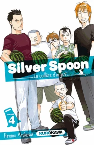 Silver Spoon T04