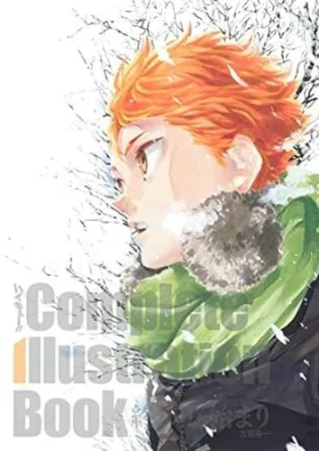 Haikyu Complete Illustrations Artbook Haikyu Complete Illustrations Artbook