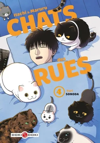 Hachi & Maruru Chats Des Rues T04