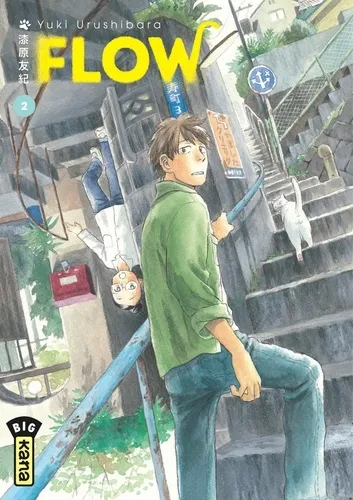 Flow T02