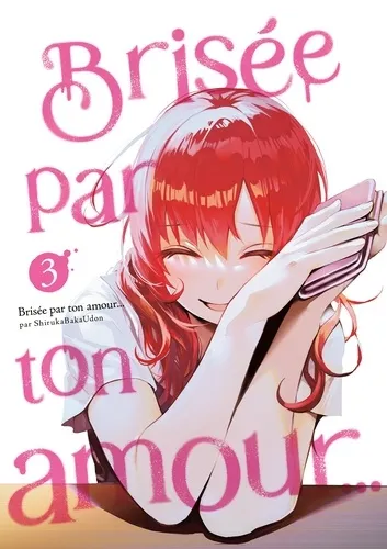 Brisee Par Ton Amour… T03 (ned)