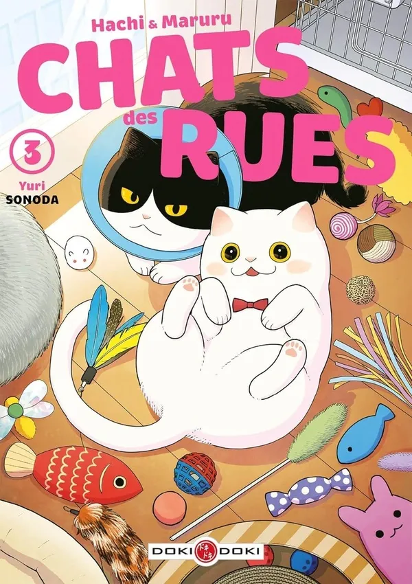 Hachi & Maruru - Chats Des Rues - Écrin T03 Et 04