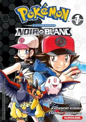 Pokemon Noir & Blanc Double T01