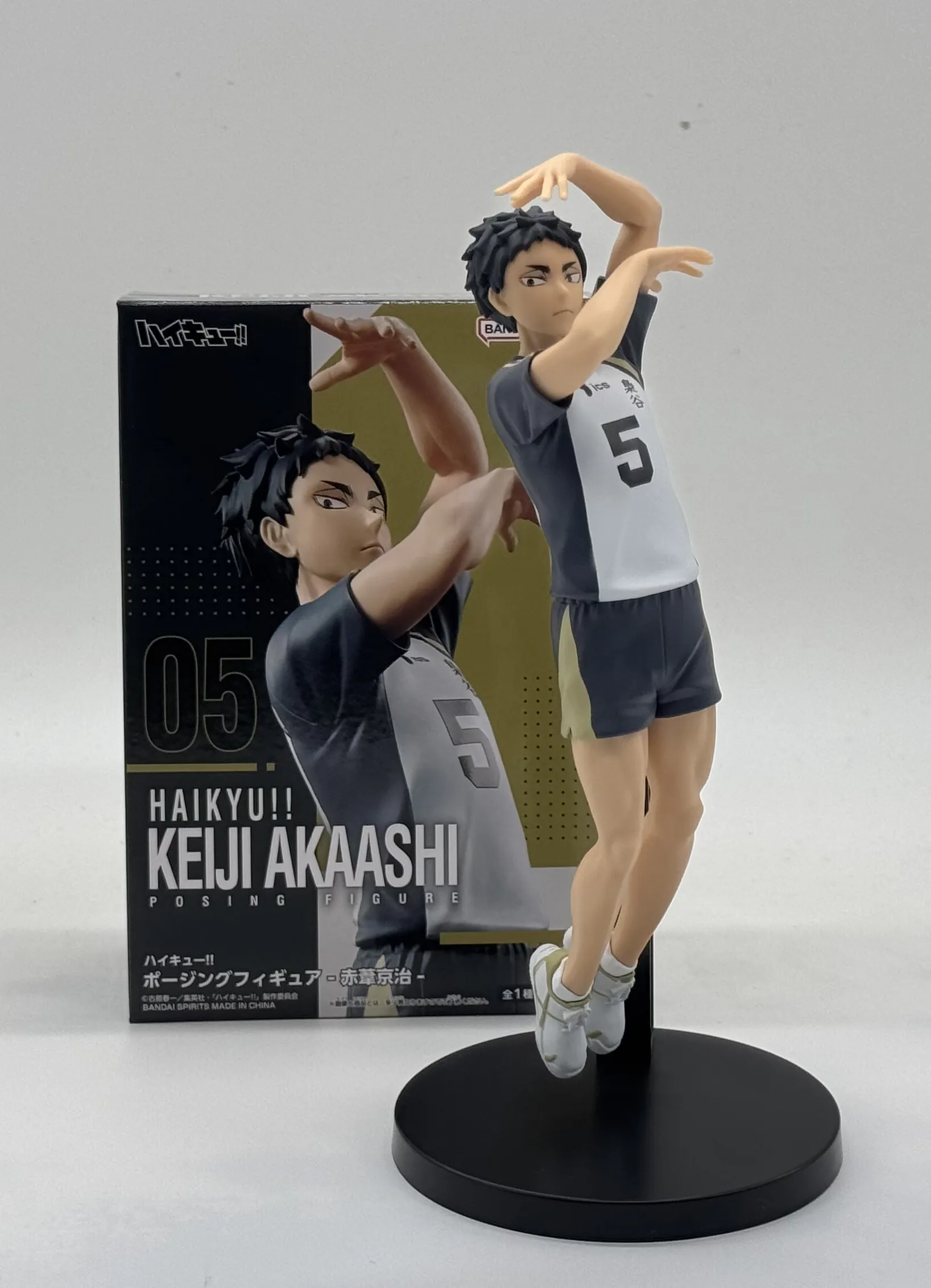 Haikyu!! Keiji Akaashi Posing