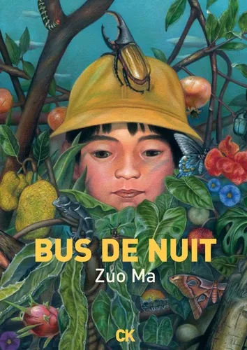 Bus de nuit T1
