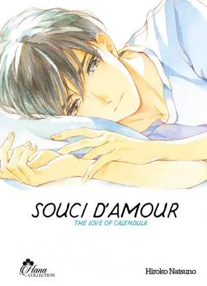 Souci D'amour