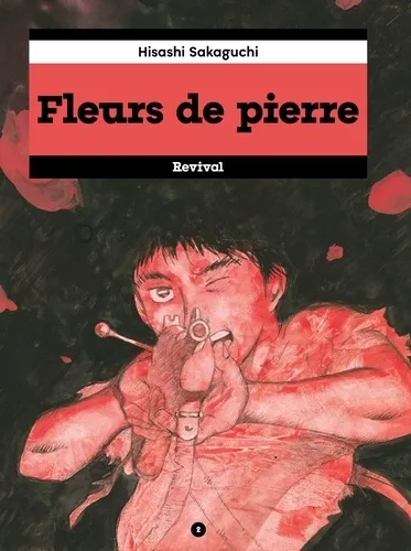 Fleurs De Pierre T02