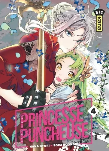 Princesse Puncheuse T04