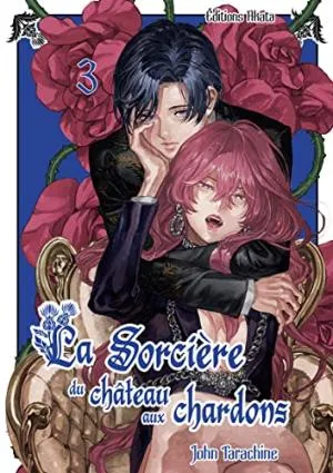 La Sorciere Du Chateau Aux Chardons T03