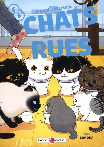Hachi & Maruru - Chats Des Rues - Écrin T05 Et 06