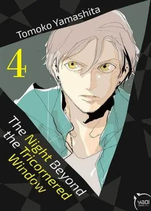 Tricornered Window T04