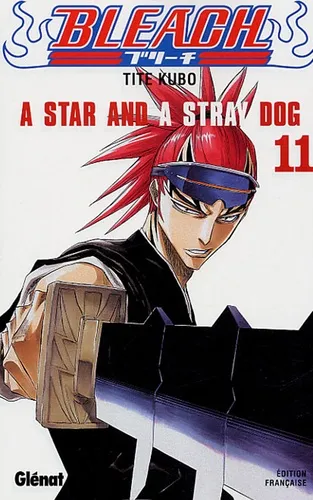 Bleach T11