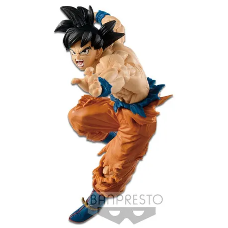 Dragon Ball Super Tag Fighters -son Goku- Dragon Ball Super Tag Fighters -son Goku-