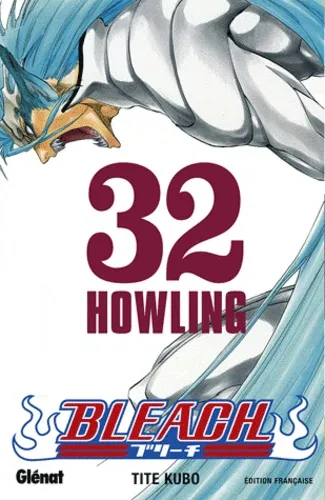 Bleach T32