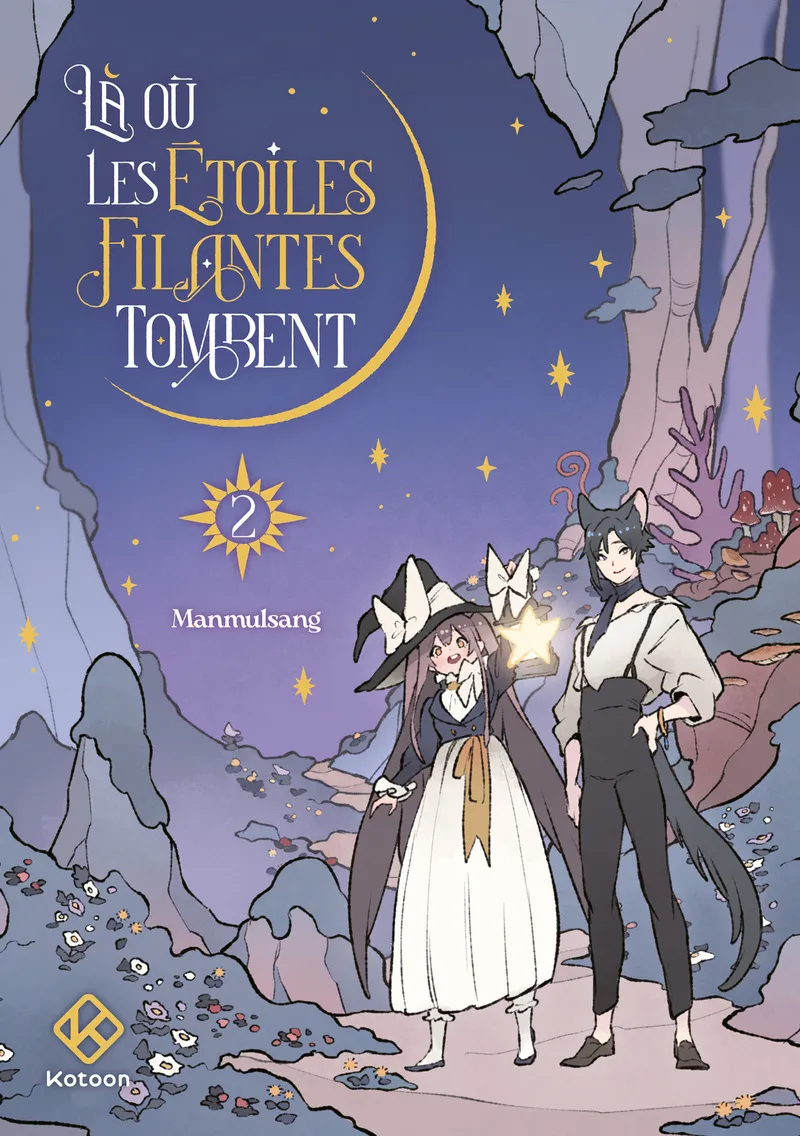 La Ou Les Etoiles Filantes Tombent T02