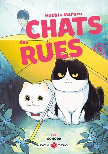 Hachi & Maruru Chats Des Rues T02