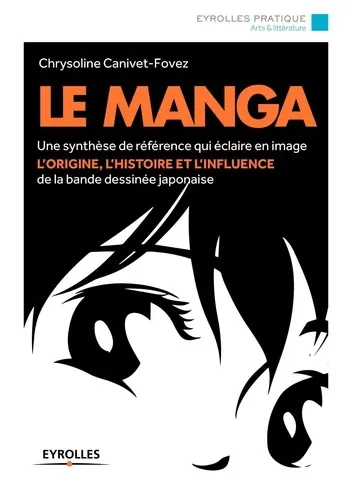 Le Manga Une Synthese De Reference