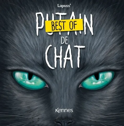 Best Of Putain De Chat