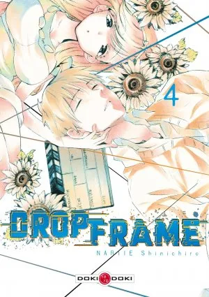 Drop Frame T4