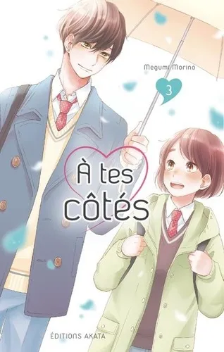 A Tes Cotes T03