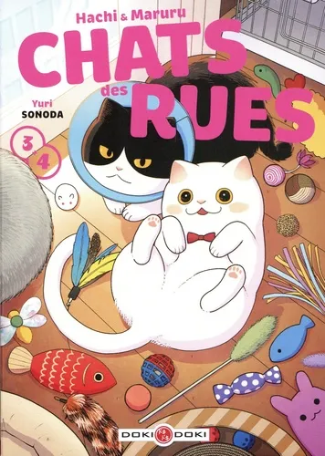 Hachi & Maruru - Chats Des Rues - Écrin T03 Et 04 Hachi & Maruru - Chats Des Rues - Écrin T03 Et 04