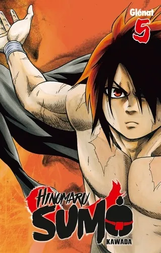 Hinomaru Sumo T05