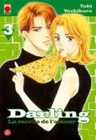 Darling, la Recette de l'Amour T3