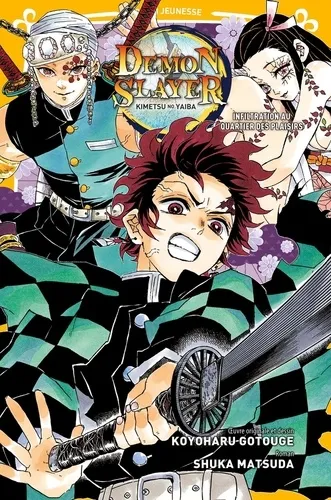 Demon Slayer - Roman Jeunesse T04 Demon Slayer - Roman Jeunesse T04